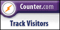 web site hit counter
